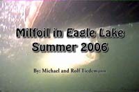 Milfoil in Eagle Lake